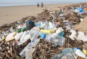 Biodegradable plastic `false solution` for ocean waste problem